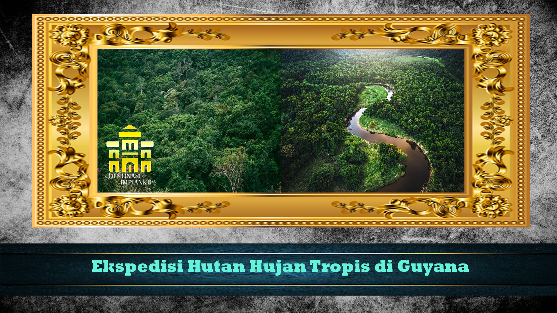 Ekspedisi Hutan Hujan