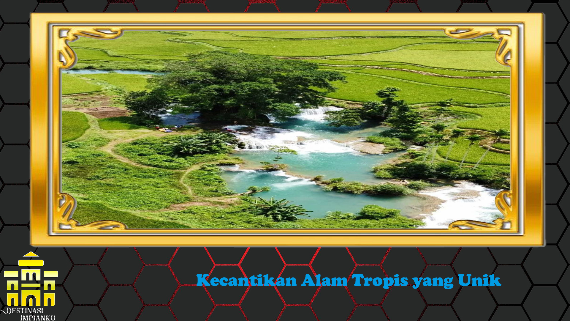 Kecantikan Alam Tropis yang Unik