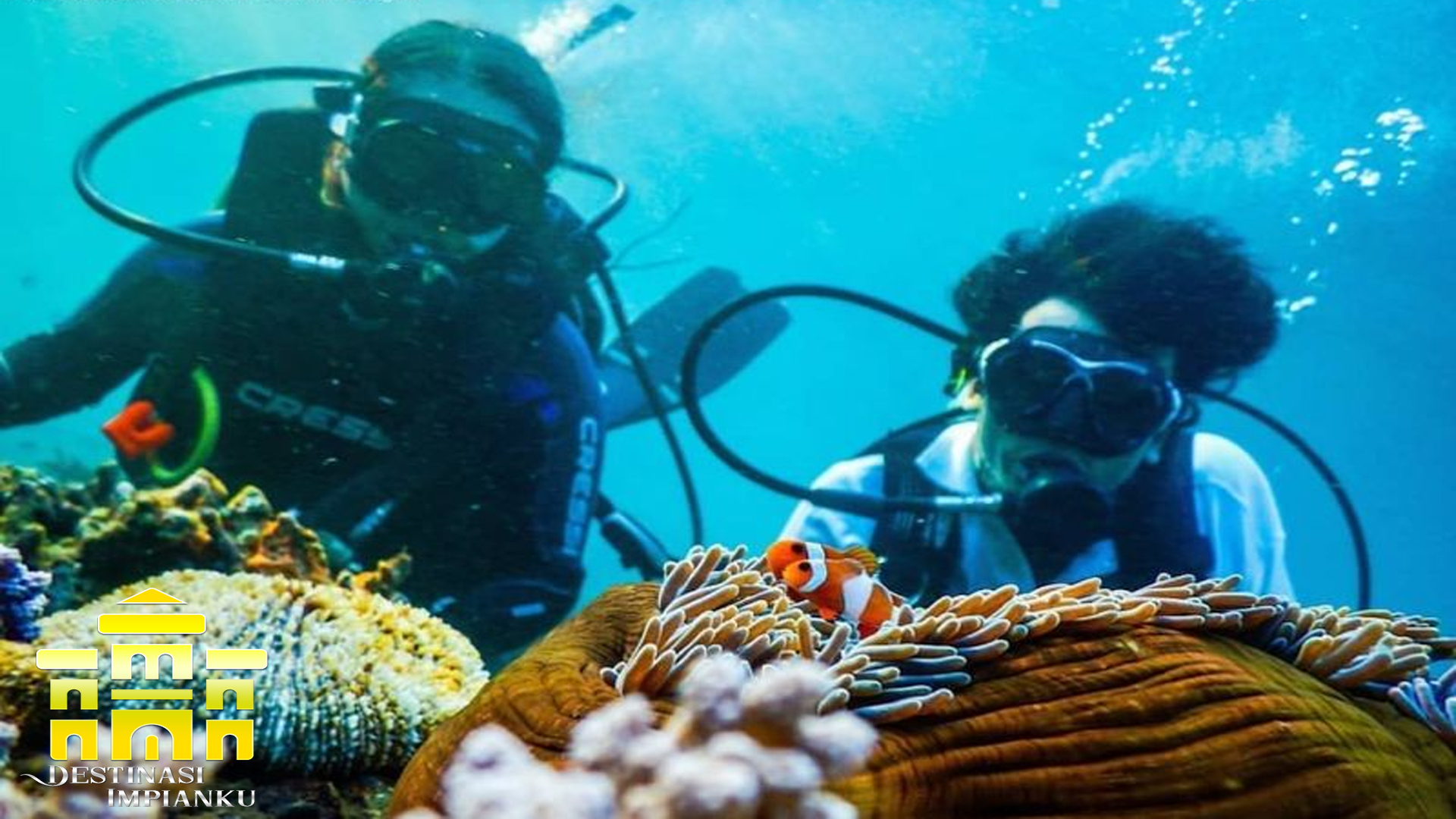 Menyelam di Malta: Destinasi untuk Penyelam di Mediterania