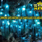 Glowworm Caves Waitomo