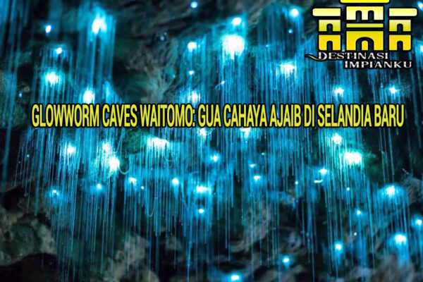 Glowworm Caves Waitomo: Gua Cahaya Ajaib di Selandia Baru Glowworm Caves Waitomo