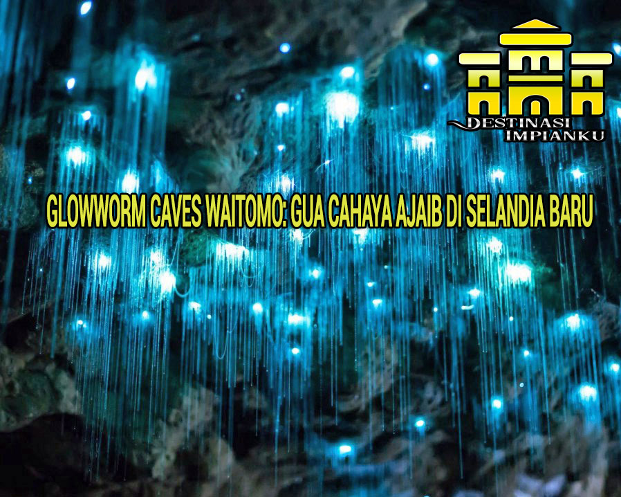 Glowworm Caves Waitomo